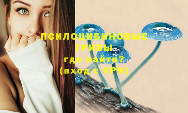 мяу мяу мука Абдулино