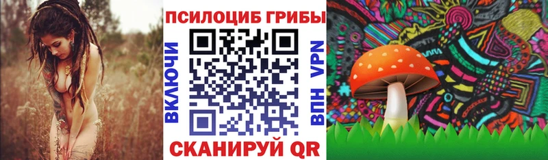 Галлюциногенные грибы мицелий  где купить наркоту  hydra ССЫЛКА  Никольское 